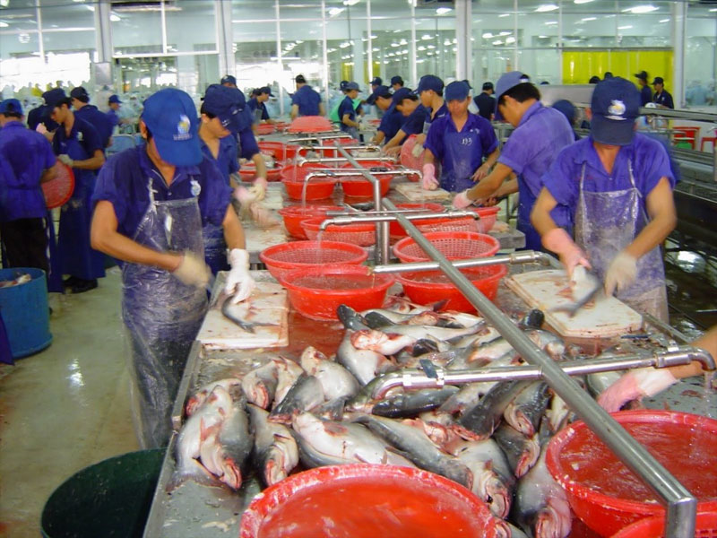 Two more fish processing plants allowed to export to EU Mizzima