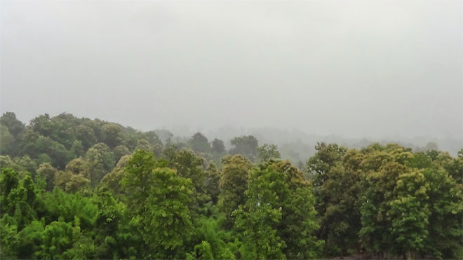 Forest in Yedashe Township, Taungoo District, Myanmar. Photo: Myanmar REDD+ Programme