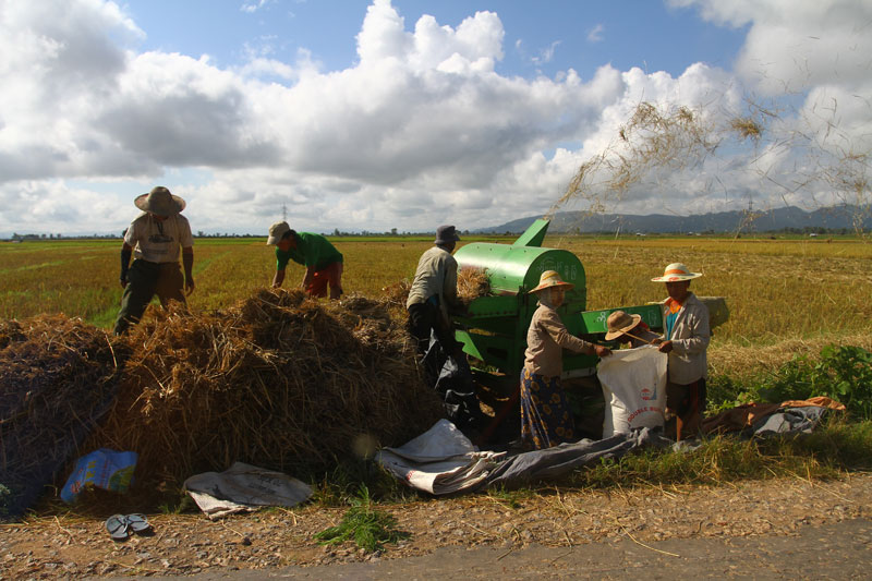 The World Bank hopes its programme will help improve farmers' lives. Photo: Mizzima