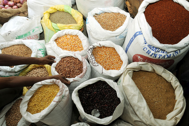 India looks to Myanmar for a sizable import of pulses. An Indian vendor arranges the sacks of grain at the grain market in southern Indian city of Bangalore. Photo: Jagadeesh NV/EPA