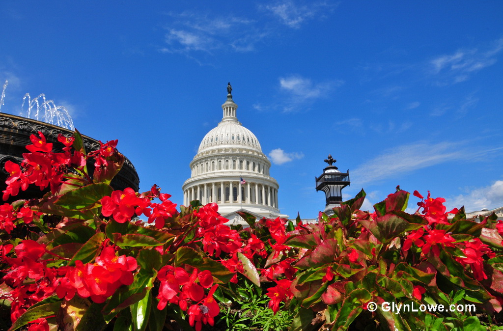 US lobbyists Capital Hill Glynn Lowe
