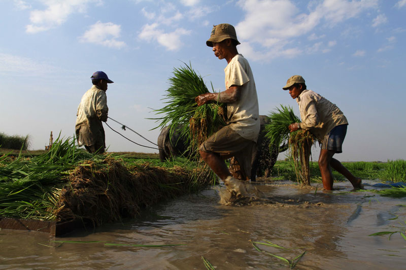 SLCM aims to provide agri-financing solutions to farmers Photo: Ye Min/Mizzima