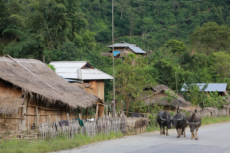A village in Shan State, Myanmar. Photo: Flickr
