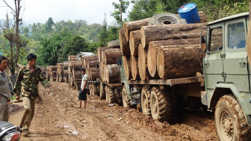 Logging trucks in Kachin State waiting to cross the border into China in April, 2015. Photo: EIA