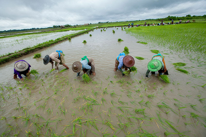 Working together to improve the situation of farmers. Photo: Hong Sar/Mizzima