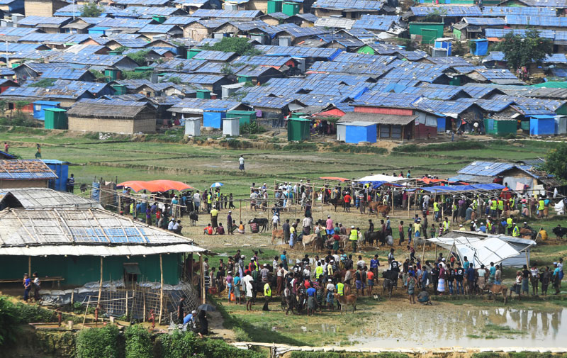 Rohingya refugees gather to slaughter cows during Eid al-Adha festival at Jamtoli refugee camp in Ukhia district near Cox's Bazar on August 22, 2018. Photo: Dibyangshu Sarkar/AFP