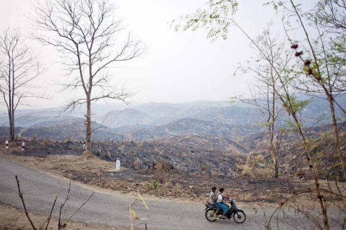 People ride a bike past burnt a teak tree forest in Bago region. Photo: Ye Aung Thu/AFP