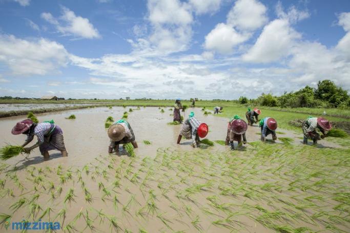 Farmers in Bago region. Photo: Hong Sar/Mizzima