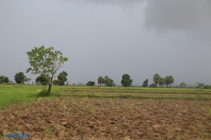 Farmland in Ayeyarwady region. Photo: Mizzima