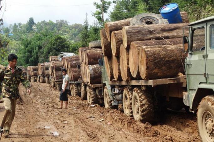 Logging trucks in Kachin State waiting to cross the border into China in April, 2015. Photo: EIA