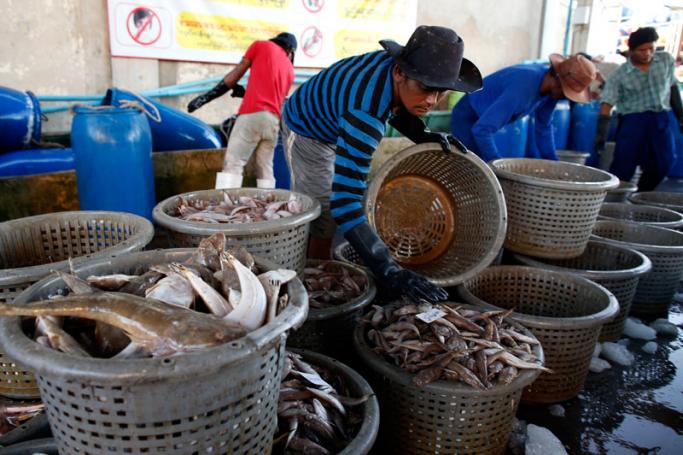 Migrant fishermen from Myanmar unload fish from Thai boats after they stopped fishing operations at a port in Samut Sakhon province, Thailand, 01 July 2015. Photo: Rungroj Yongrit/EPA