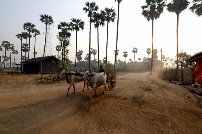 A man drives his bullock cart at Ton village in Monywa, Sagaing Division, Myanmar. Photo: Nyein Chan Naing/EPA