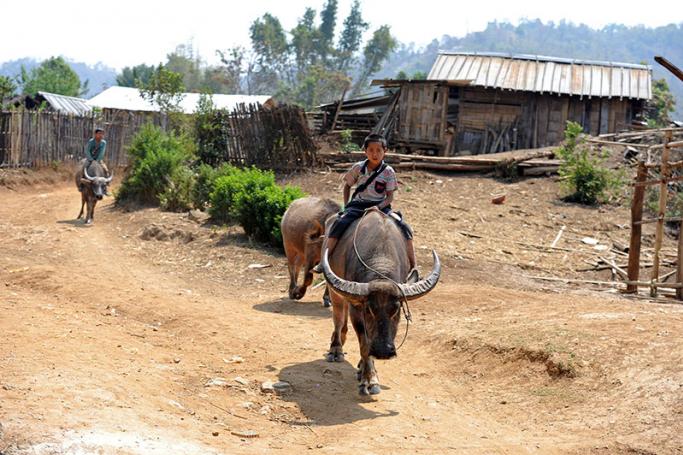 An ethnic Shan child riding a buffalo at a village near Lashio, northern Shan state. Photo: AFP