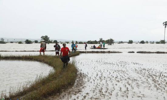 Heavy rains flood farmland in Kawlin Township, Sagaing Region on July 29. Photo: Hong Sar/Mizzima
