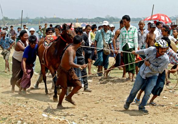 People pull a horse during the horse racing at a pagoda festival at Taungthaman Lake near U Pain Bridge in Amarapura, Mandalay, Myanmar, March 24, 2015. Photo: Pyae Sone Aung/EPA