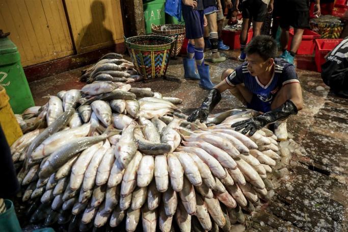 A man piles up fish to sell at the central fishery wholesale market during early morning in Yangon. Photo: EPA