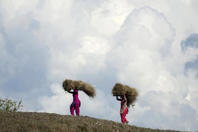 Indian villager women carry fodder for cattle on their heads at Jalot village some 50 K.M. from Dharamsala, India, 28 March 2020. Photo: EPA