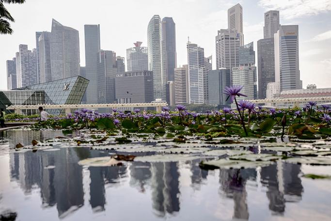 A reflection of the Central Business District skyline in a lotus pond at the Marina Bay Sands, Singapore. Photo: EPA
