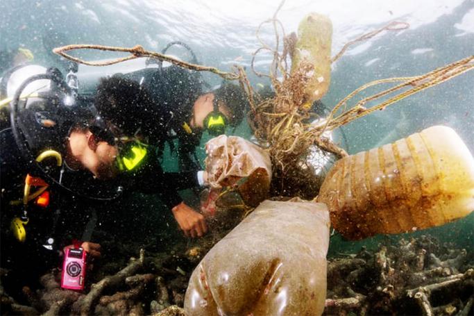 Divers remove the plastic bags, fishing nets and garbages on reefs near Nayng Oo Phee Island in Myeik, Kawthoung District. Photo: Supplied