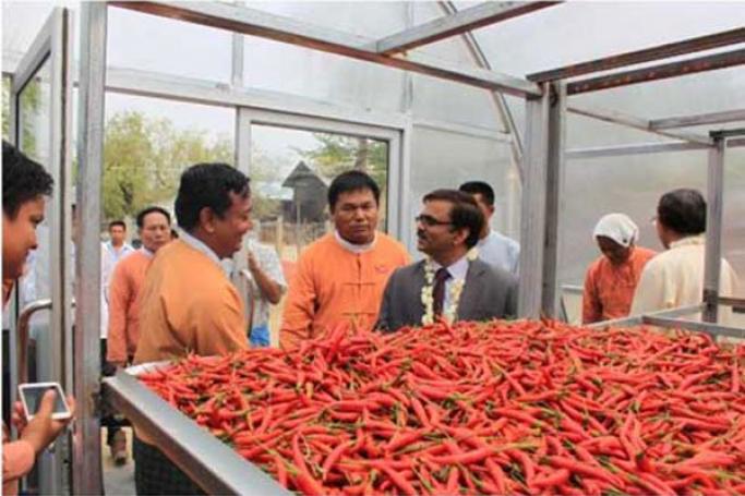 Covestro’s Veeralaksmanan Bagavathi and farmer representatives check on the chilies that will be dried inside the greenhouse dryer.
