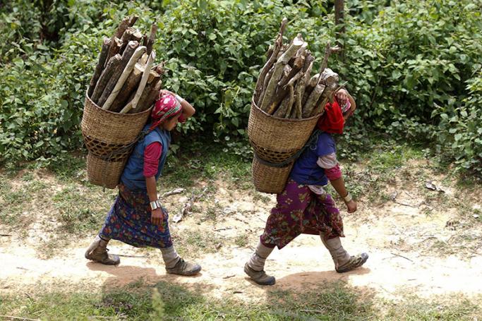 Ethnic Lwes carry firewood on their backs as they walk back to the village of Wan Seng near Kengtung district of Shan State, eastern Myanmar, 29 June 2015. Photo: Lynn Bo Bo/EPA
