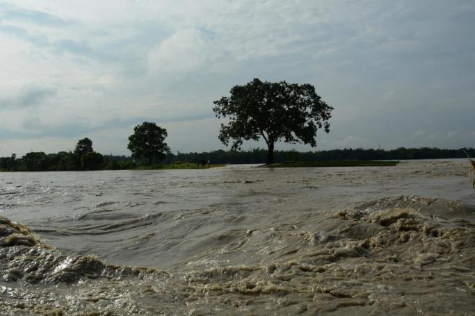 A view of flood water in the flood affected area of Goalbil, Baksa district, Assam, India 30 July 2020. Photo: EPA