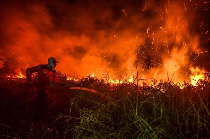 Officials of regional disaster management agency try to douse a peat land forest fire, in Pekanbaru, in Riau province, on July 31, 2019. Photo: AFP