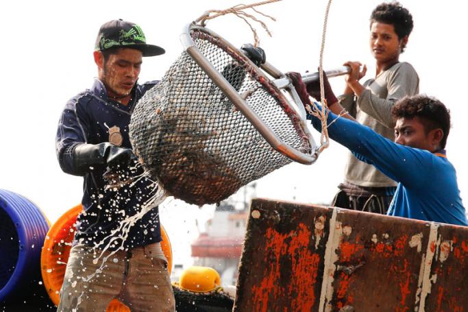 Migrant fishermen from Myanmar on a Thai fishing boat unloading fish at a jetty in Samut Sakhon province, Thailand. Photo: Diego Azubel/EPA
