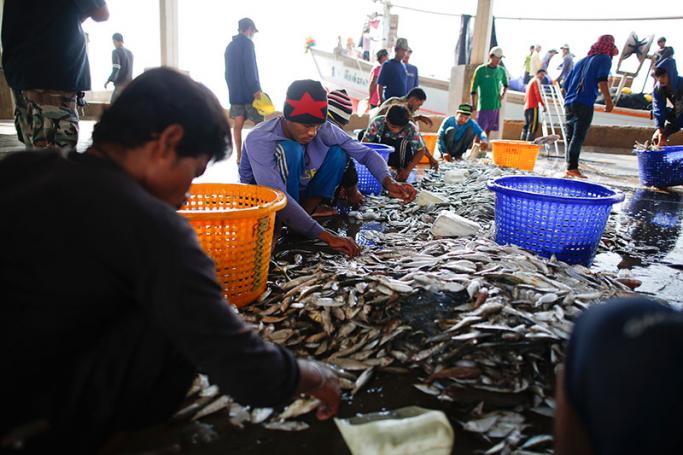 Migrant fishermen from Myanmar on Thai fishing boats sort fish by size at the port in Samut Sakhon province, Thailand. Photo: EPA
