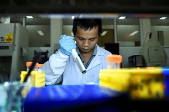 This photo taken on August 23, 2019 shows laboratory official Nguyen Viet Hoang examining mosquito samples at the National Institute of Hygiene and Epidemiology in Hanoi. Photo: Nhac Nguyen/AFP