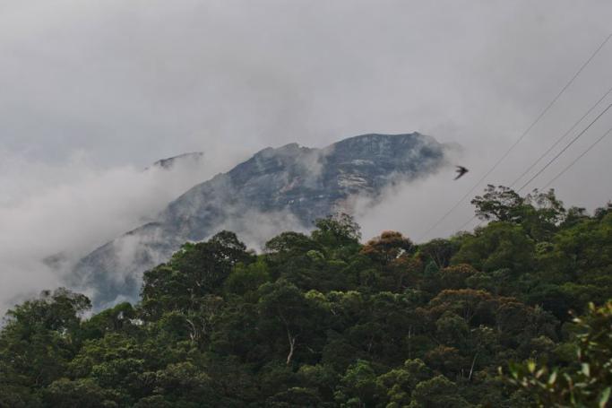 A general view of Mount Kinabalu during a rescue mission for more than 130 climbers who were stranded on one of Southeast Asia's highest mountains after an earthquake rocked parts of Sabah, in Kundasang, Malaysia, 06 June 2015. Photo: Fazry Ismail/EPA
