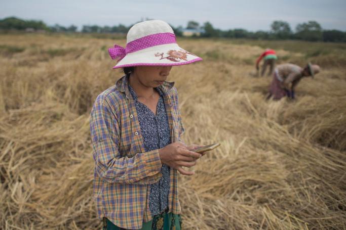 This photo taken on December 27, 2017 shows farmer San San Hla using a mobile app as she works in a rice field on the outskirts of Yangon. Photo: Ye Aung Thu/AFP
