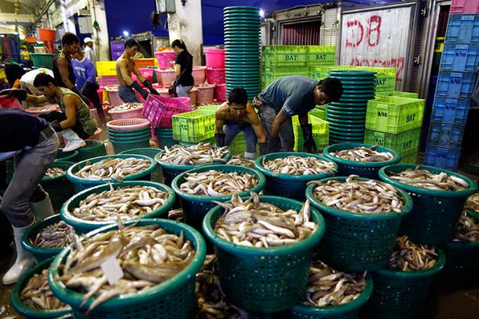 Myanmar migrant workers sorting out fish for sale at a seafood market in Samut Sakhon province, Thailand. Photo: Rungroj Yongrit/EPA
