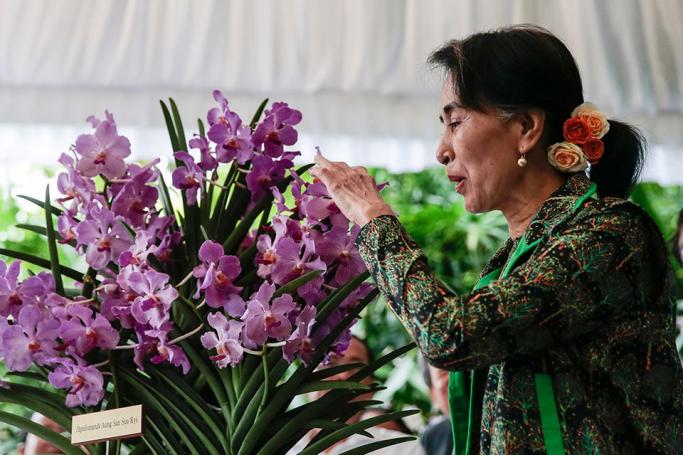 Myanmar Foreign Minister and State Counsellor Aung San Suu Kyi examines an orchid plant named 'Papilionanda Aung San Suu Kyi' in her honor at the National Orchid Garden in Singapore, 01 December 2016. Aung San Suu Kyi is on a three day visit to Singapore where she will meet with business leaders and tour various local government institutions. Photo: Wallace Woon/EPA
