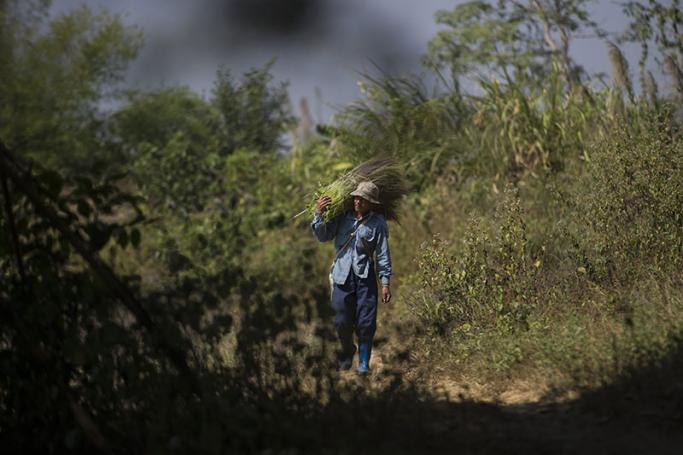 Protecting community forests. Photo: Ye Aung Thu/AFP
