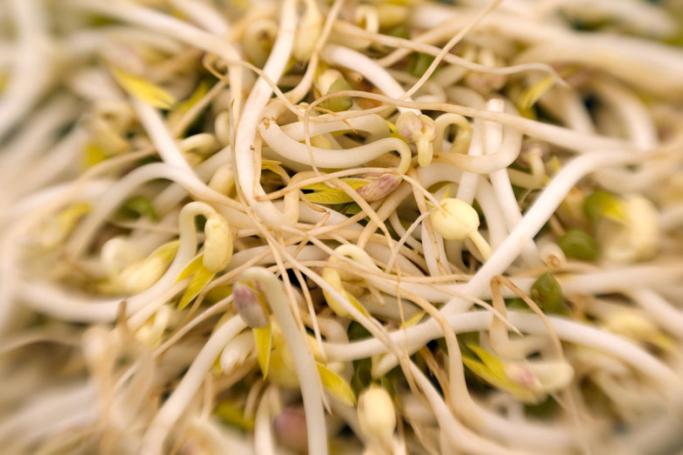 Sprouts from mung beans. Photo: EPA