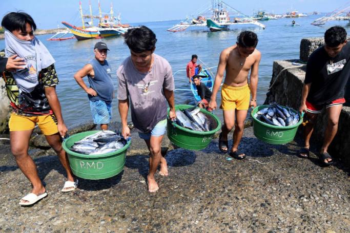 Crew unload buckets of fish from the "mother" fishing boat shortly after arriving in the village of Cato in Infanta town, Pangasinan province, after a fishing expedition to the South China Sea. Photo: AFP
