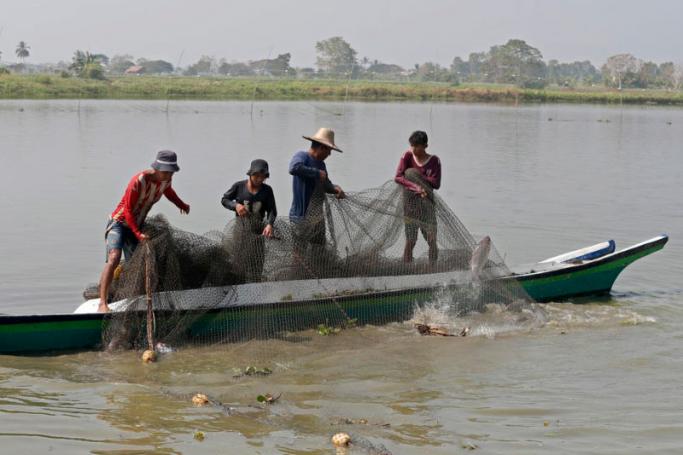 Fishermen use a net to catch fish at a fish farm in Twante township, outskirts of Yangon, Myanmar. Photo: EPA