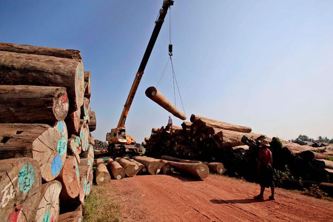 Workers lift teak logs with a crane at a timber area on the outskirts of Yangon. Photo: Nyein Chan Naing/EPA
