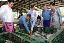 Union Minister U Ohn Win and Deputy Minister Dr Ye Myint Swe check the quality of jade lots at the emporium in Nay Pyi Taw yesterday. Photo: MNA