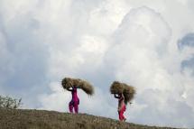 Indian villager women carry fodder for cattle on their heads at Jalot village some 50 K.M. from Dharamsala, India, 28 March 2020. Photo: EPA