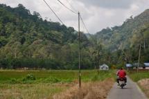 A motorcyclist heads in the direction of a hill and forest where it is believed immigrants from the Thai border enter Malaysia, villagers claim in Wang Kelian, Perlis, Malaysia, 27 May 2015. Photo: Fazry Ismail/EPA

