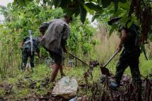 Members of the anti-junta Karenni Nationalities Defence Force (KNDF) search for landmines planted by the Myanmar military during demining operations near Pekon township on July 11, 2023 Photo: AFP