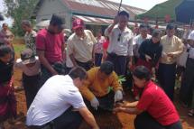 Planting Papaya by the Minister of Ministry of Agriculture.