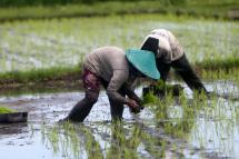 Climate aid to millions of small farmers around the world must "substantially increase" to ward off hunger and instability, a United Nations body warned Saturday.