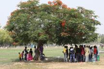 Indian people stand under a tree to seek shadow during a heat wave in New Delhi, India, 05 June 2019.  Photo: EPA