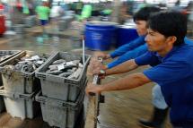 The Thai labour market relies heavily on migrant labour, workers who on occasion are under age. Fishmongers push a cart of fresh fish at the Bangkok fish market on January 20, 2005. Photo: Udo Weitz/EPA
