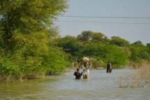 In this picture taken on September 27, 2022, internally displaced flood-affected people wade through a flooded area in Dadu district of Sindh province. Photo: AFP