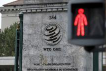 The WTO hopes to keep business flowing by consulting with Russia individually and then holding small-group talks with other nations. Photo: EPA