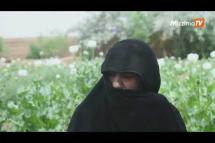 Embedded thumbnail for &amp;#039;Withdrawal symptoms&amp;#039;: Afghan farmers lament Taliban poppy ban
